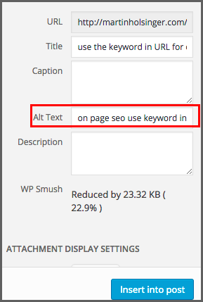 for On Page SEO use the keyword in the alt tag